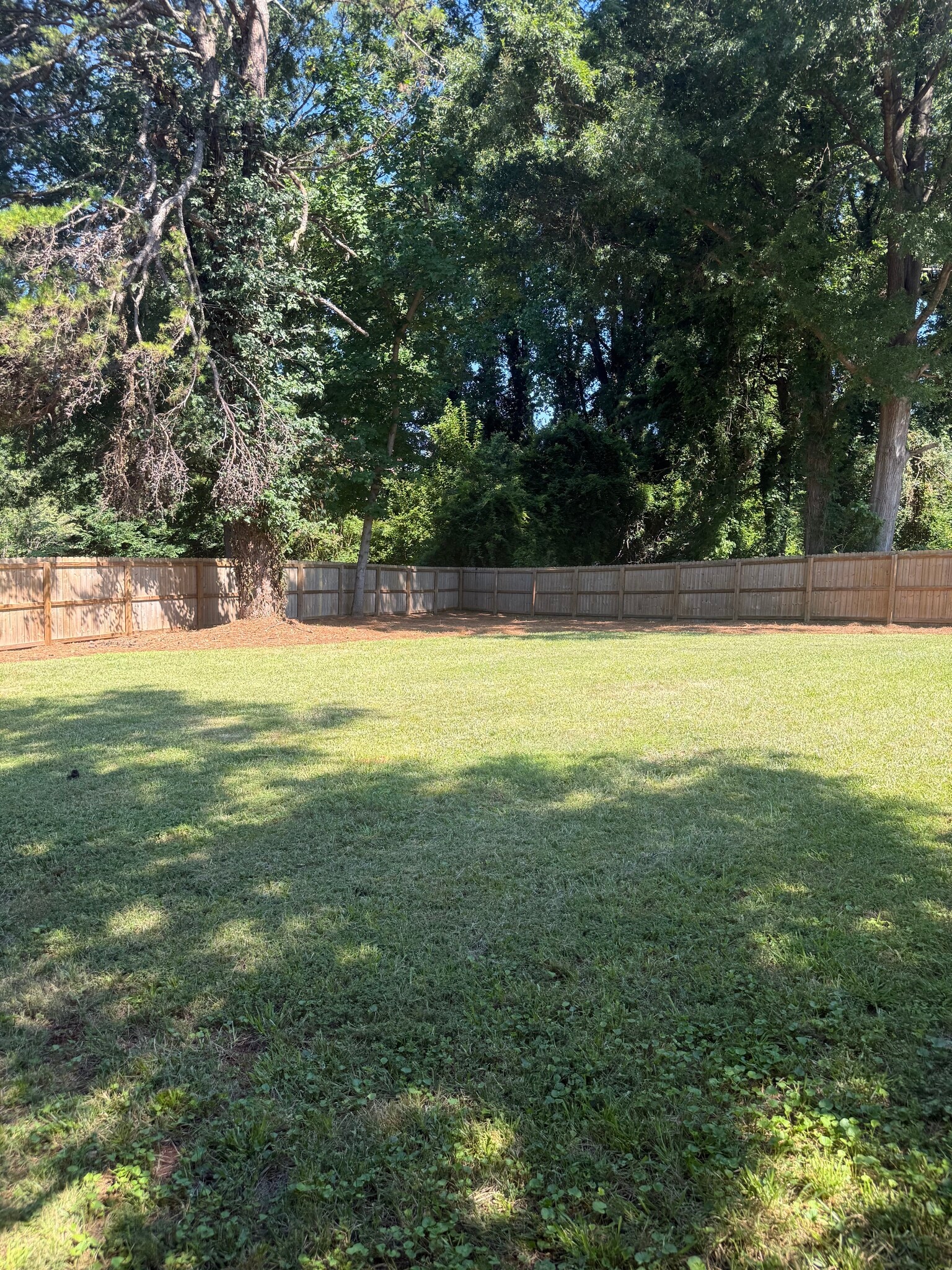 .25 acre lot, with fenced in backyard - 2311 Crestview Drive