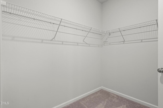 Building Photo - 229 Daisy Grove Ln