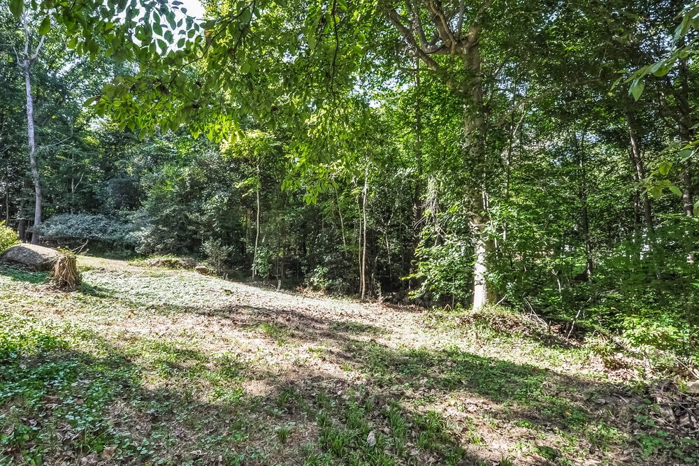 Building Photo - 3437 Singleleaf Ln