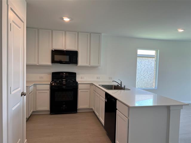 Building Photo - 1529 Lanner Mdws Ln