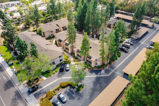 Building Photo - 10202 Black Mountain Rd