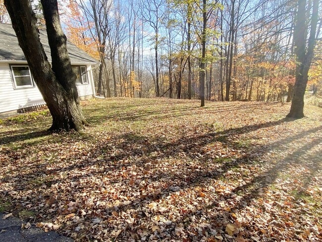 Building Photo - 4-Bedroom, 1 Bath Home on Wooded Lot near ...