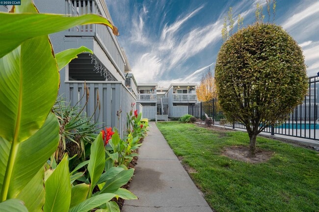 Building Photo - 951 Bancroft Rd