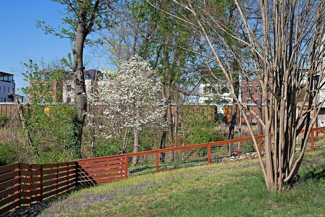Building Photo - Beautifully Restored Belmont Gem With Fenced Yard