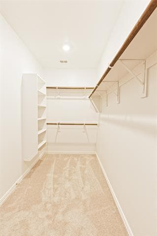 Building Photo - 3104 Palmetto Pl