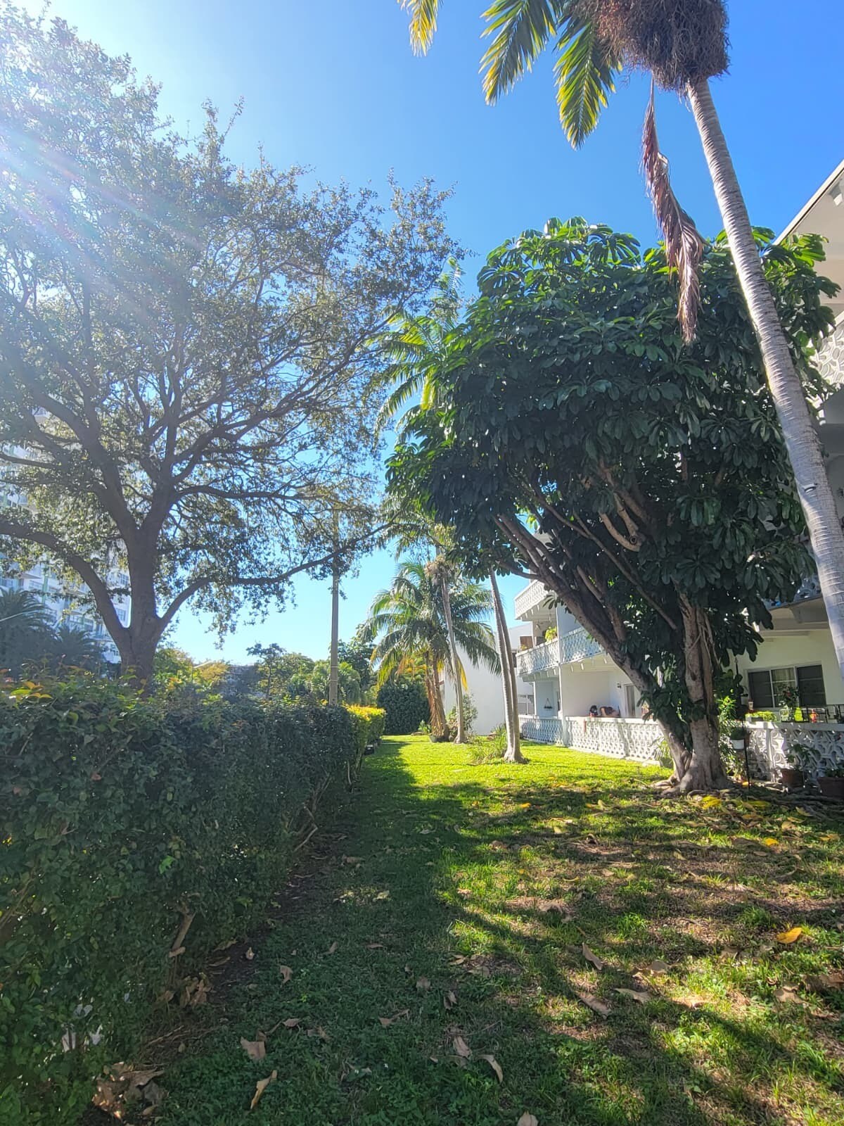 Building Photo - 2005 Sans Souci Blvd