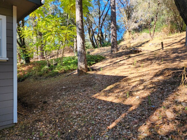 Building Photo - 16619 Old Stagecoach Rd
