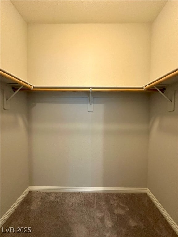 Building Photo - 2877 Glass Vine Ct