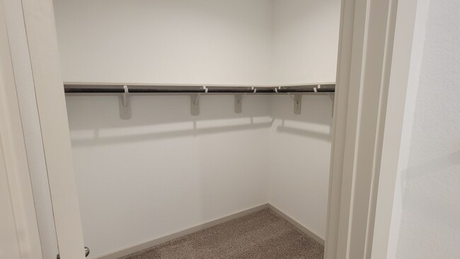 Building Photo - 2907 Stamford Hl Ln