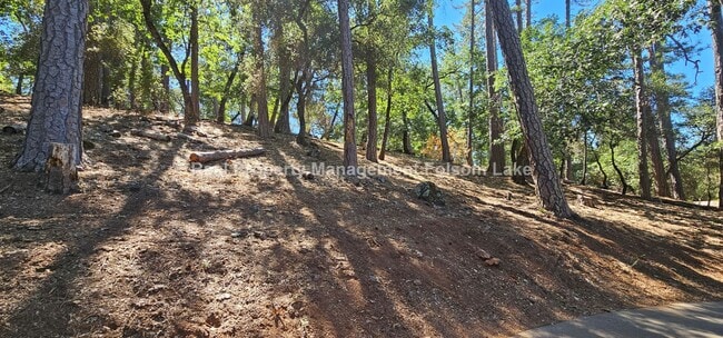 Building Photo - Charming 1-Bedroom Retreat in Desirable Ch...