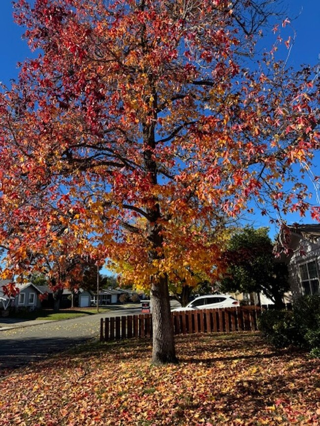 Building Photo - 4 Bedrooms in South Redding- Available for...