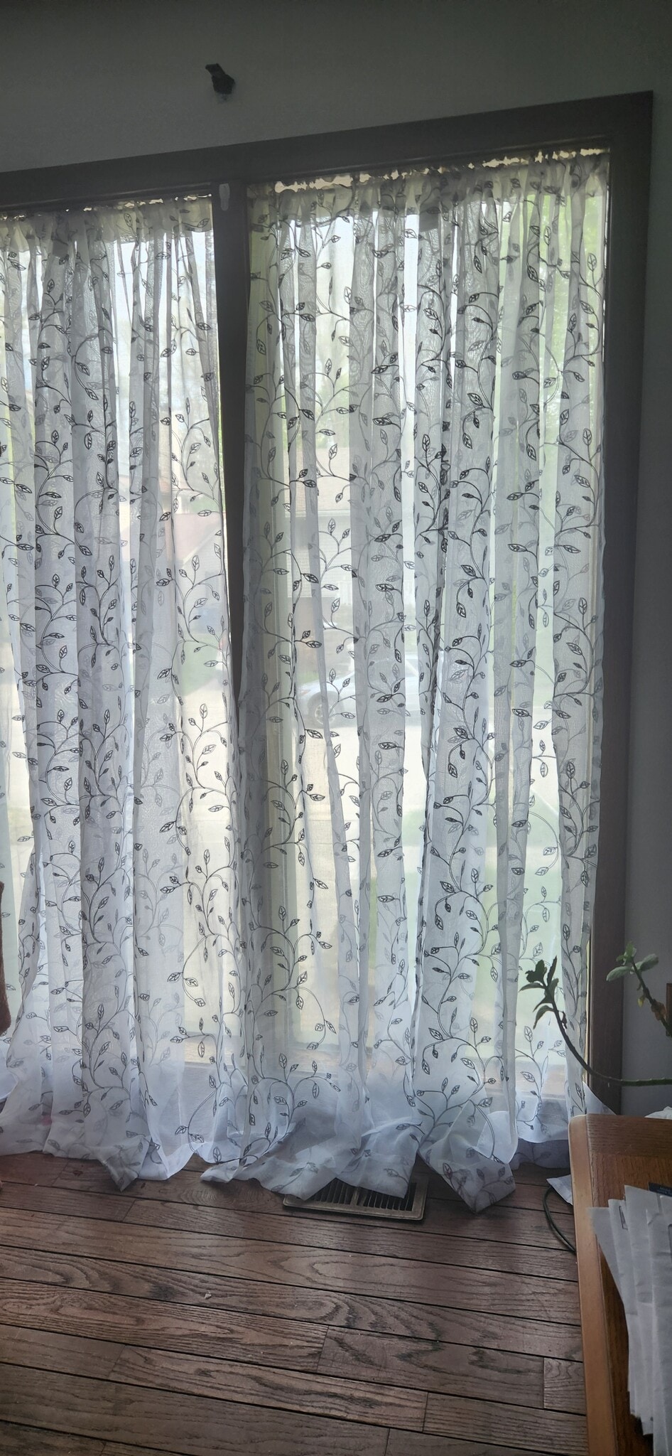 See out curtains - 2116 Thaler Ave