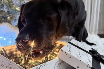 Building Photo - Autumn Chase Apartment Community