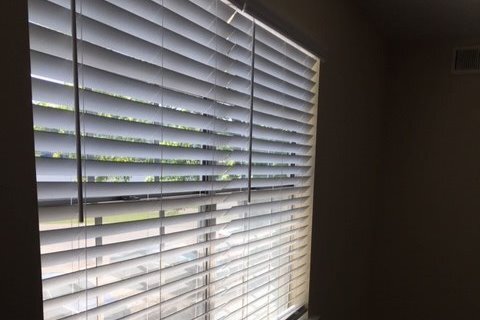 New Blinds Large Windows with natural light - 2725 Wren Dr