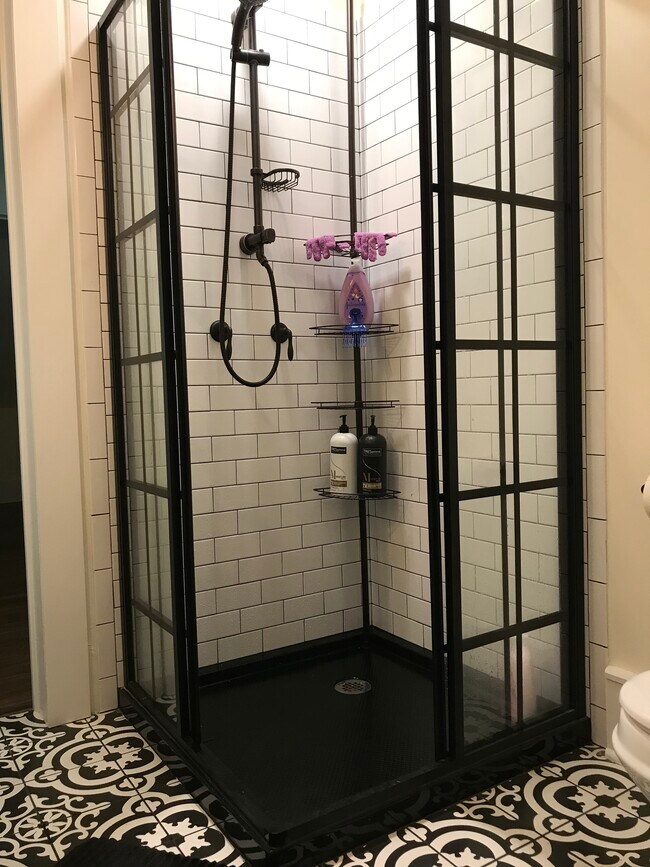 Master Bath Shower with Rain and Hand Held Shower Head - 14 Main St