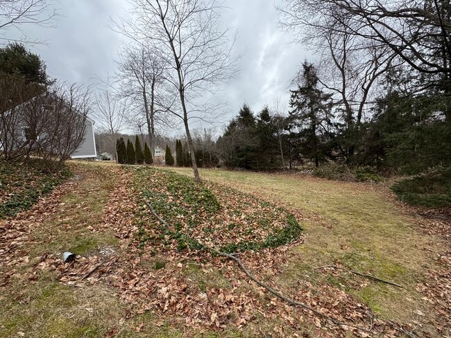 Front to side yard - 2 Champion Hill Rd