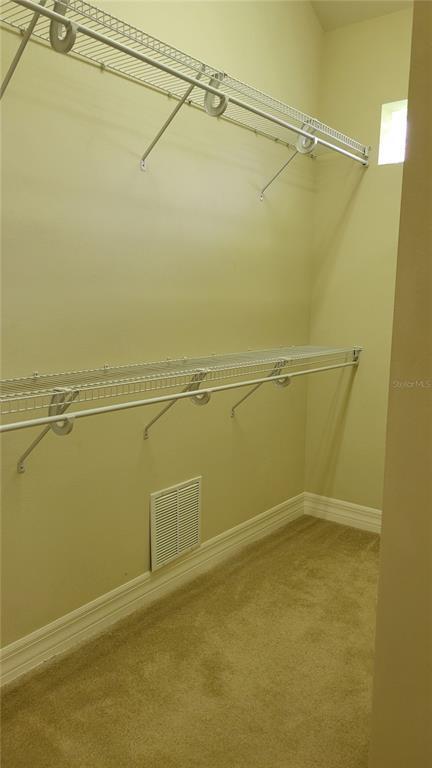 Building Photo - 3710 Eagle Hammock Dr