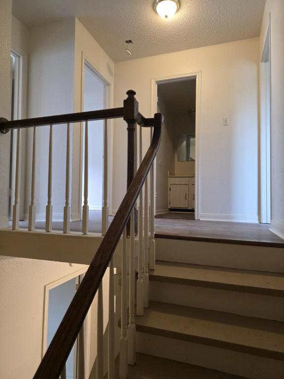 Building Photo - 3316 Seine St