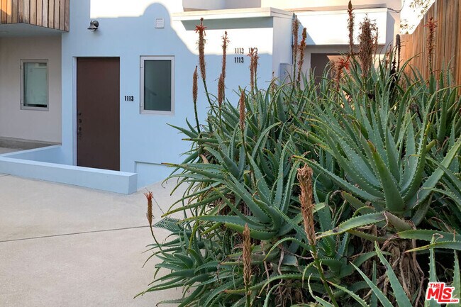 Primary Photo - 1113 Laveta Terrace