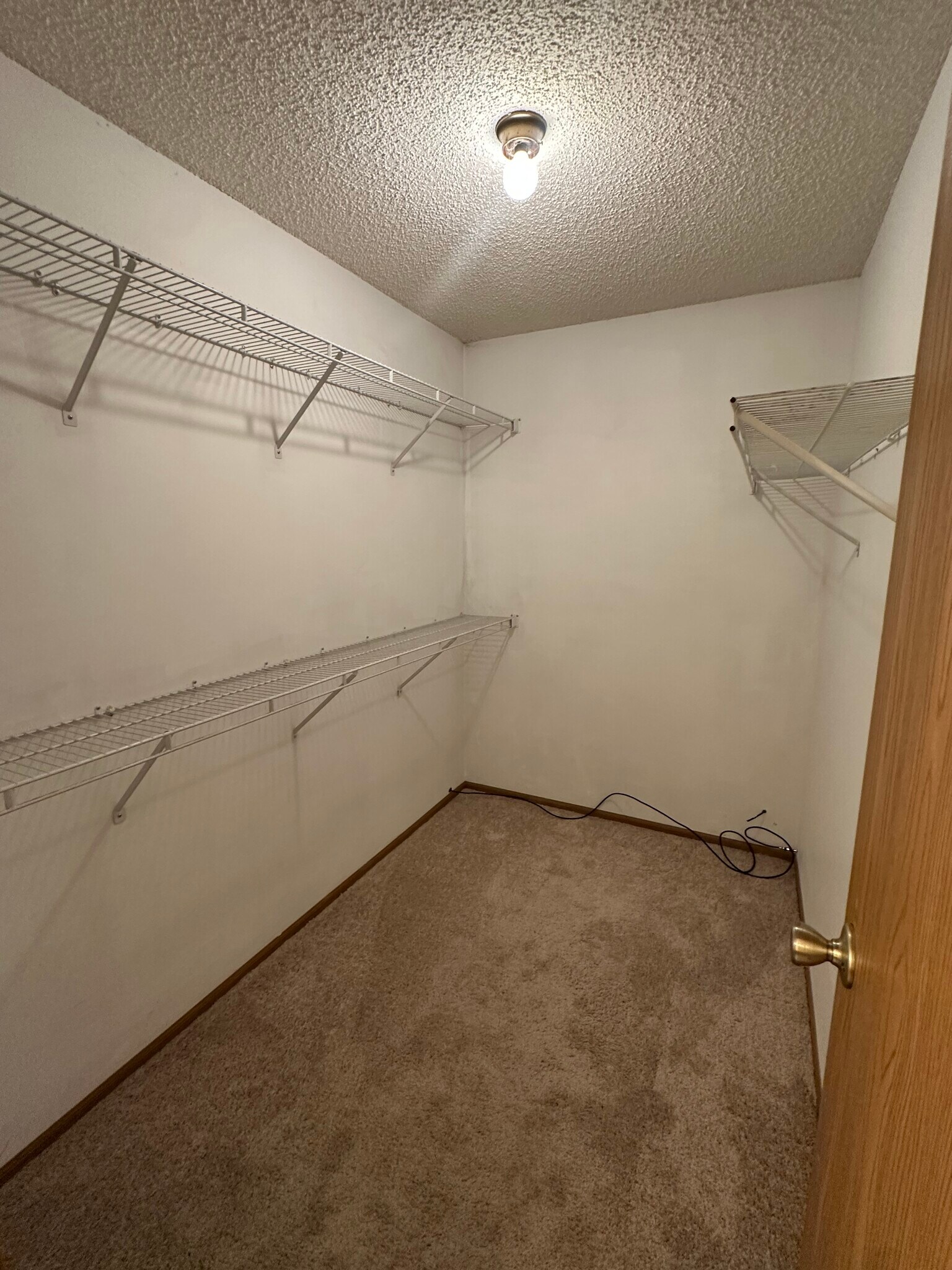 Building Photo - 5336 Bonner Dr