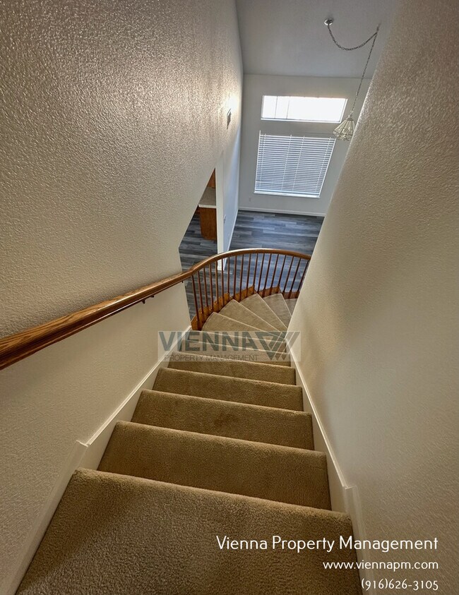 Building Photo - 108 Donegan Ct