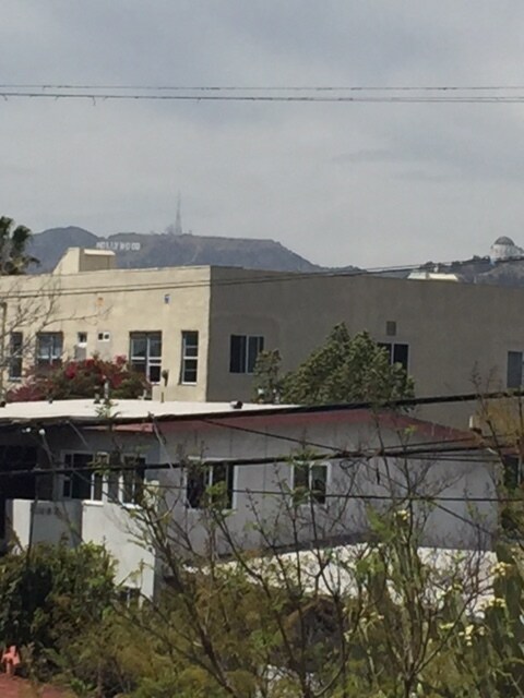 View of Hollywood sign and observatory from deck. - 1014 1/4 Hyperion Ave