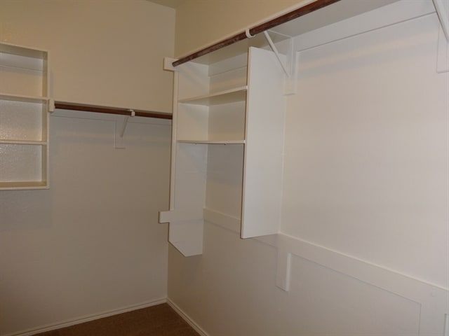 Building Photo - 1113 Skylark Dr