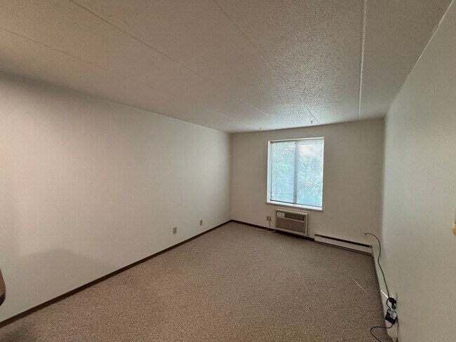 Building Photo - Studio Apartment on Main Street Downtown Madison