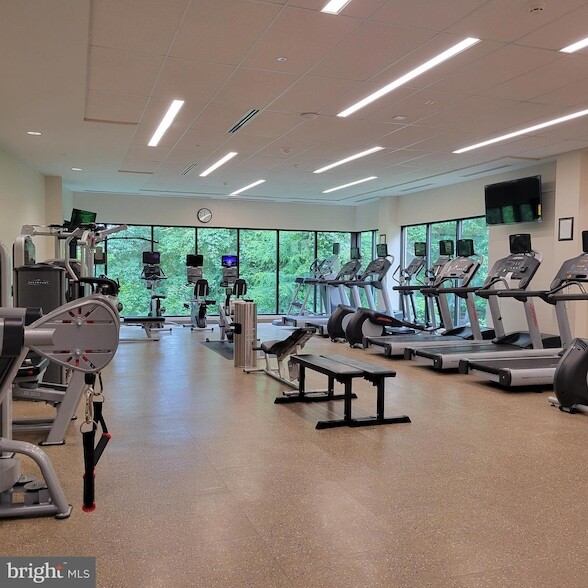 Building Photo - 5901 Mt Eagle Dr