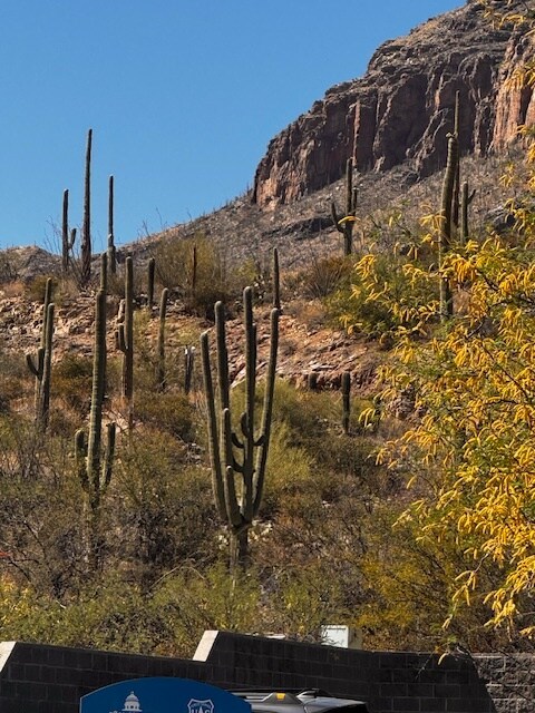 Building Photo - 1512 N Forgeus Ave