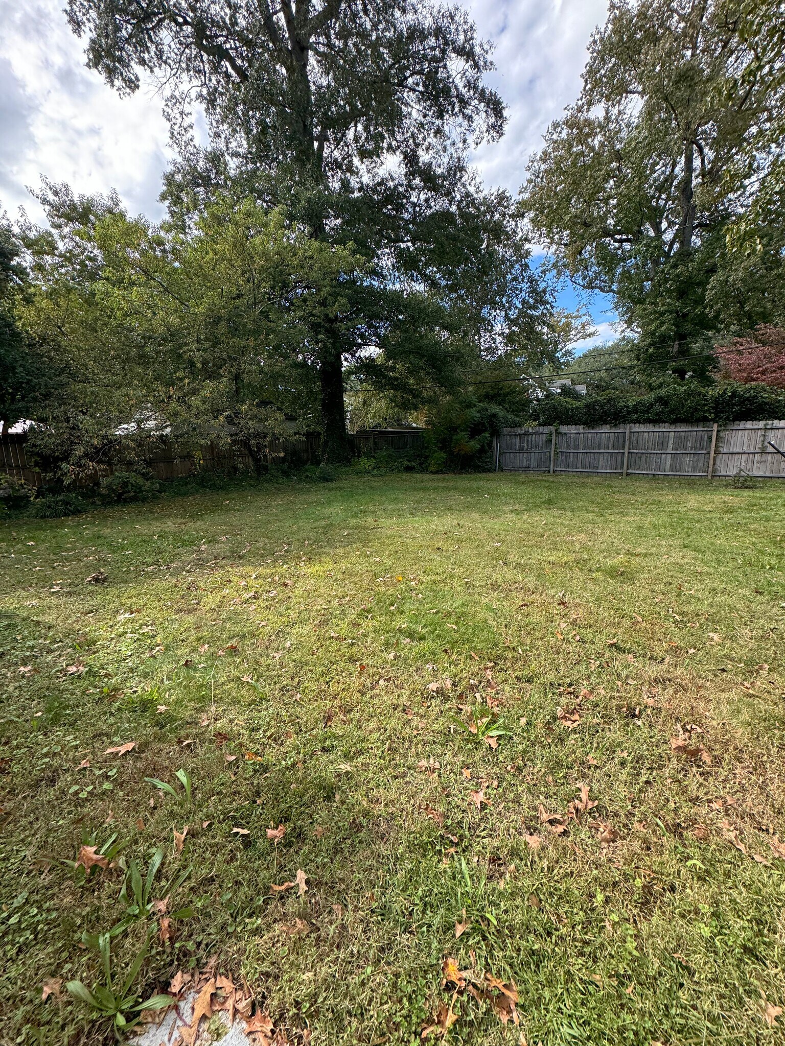 Building Photo - 9525 Sherwood Pl