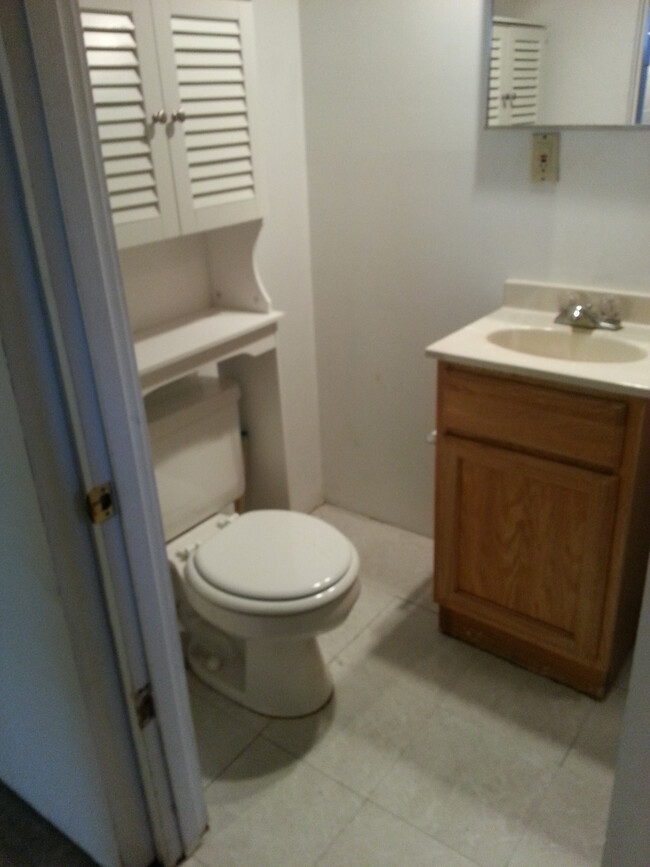 Basement bath - 307 Hovey Ave