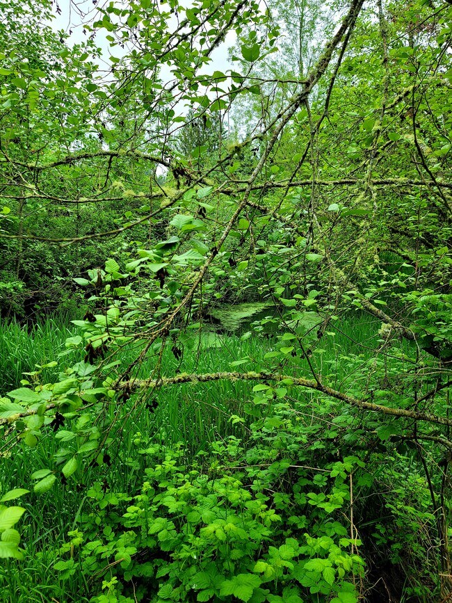 Building Photo - 11071 SE 242nd Ave