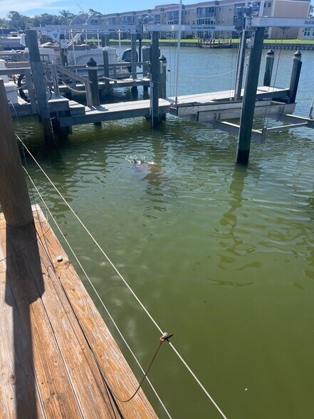 Building Photo - 282 Boca Ciega Point Blvd N