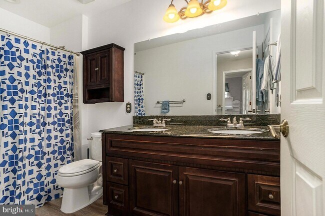 Building Photo - 5905 Drawbridge Ct