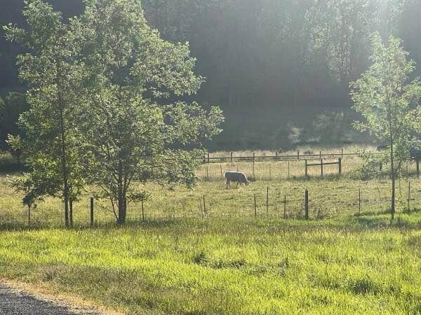 Building Photo - 2804 NW 199th St