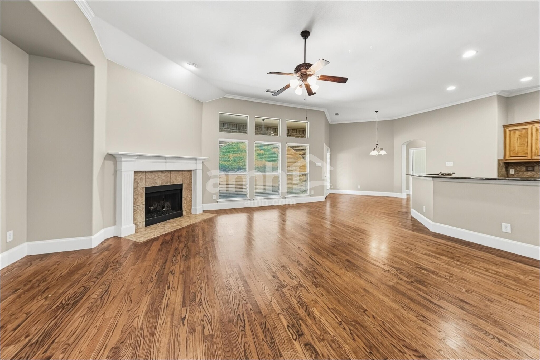 Building Photo - 1713 Palo Verde Dr