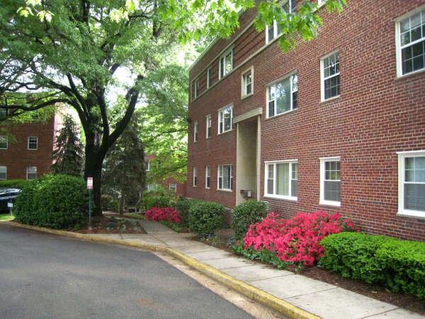Front of building (right by parking) - 1305 N Ode St