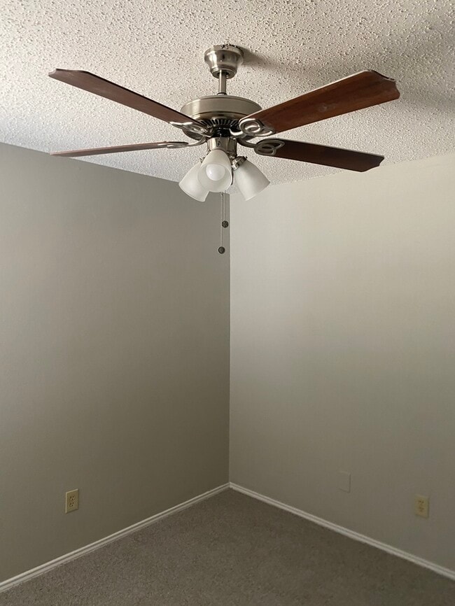 Building Photo - 822 Collins Blvd