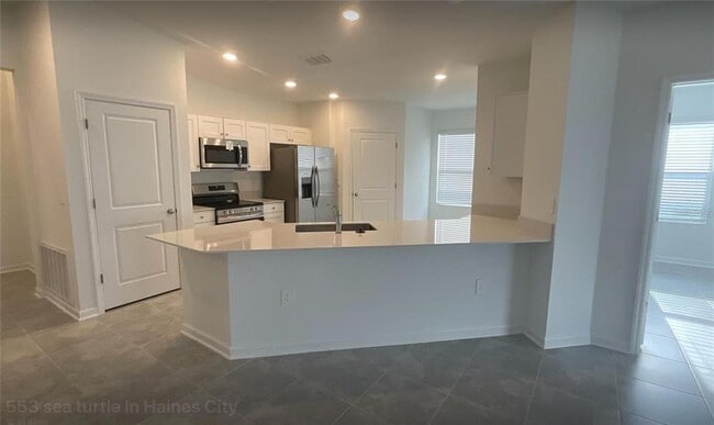 Building Photo - 553 Sea Turtle Ln