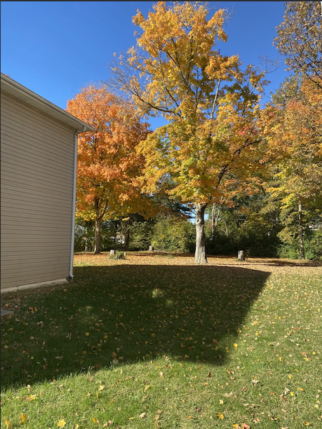 Large Common Back Yard Area, Mature Trees - 320 W Decatur St