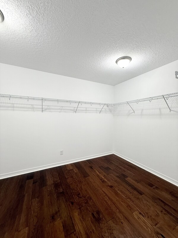 Building Photo - 11414 Alachua Creek Ln