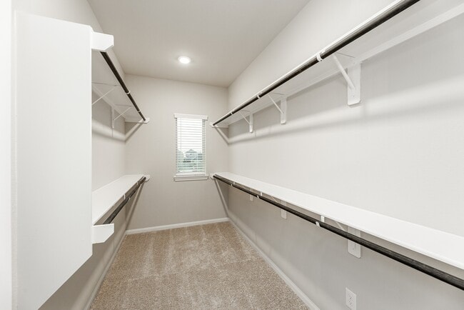 Building Photo - 31115 Mahogany Fir Trl