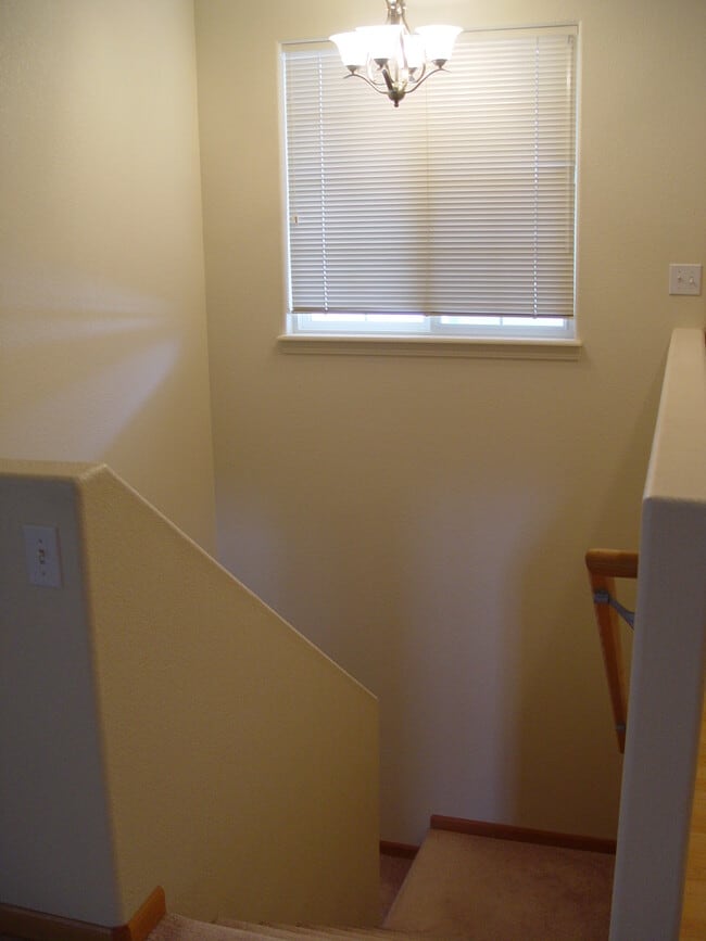 Building Photo - 4186 Cotopaxi Dr