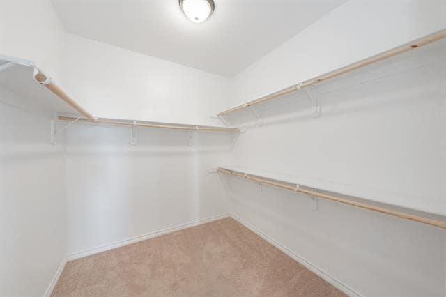 Building Photo - 4116 Old Timber Ln