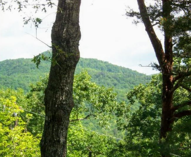 Building Photo - 546 Saddle Gap Dr