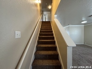 Building Photo - 35 Braches Park