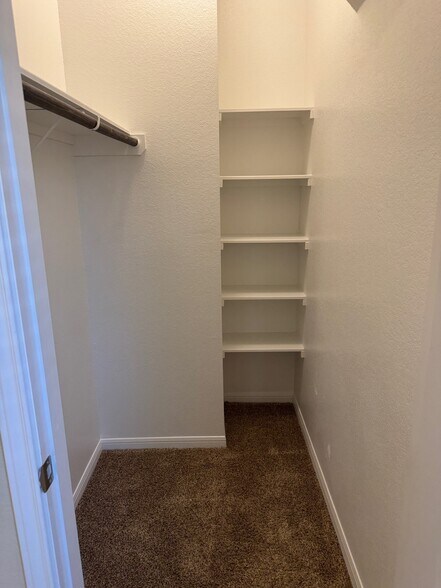 Building Photo - 1107 Rhodactis Dr