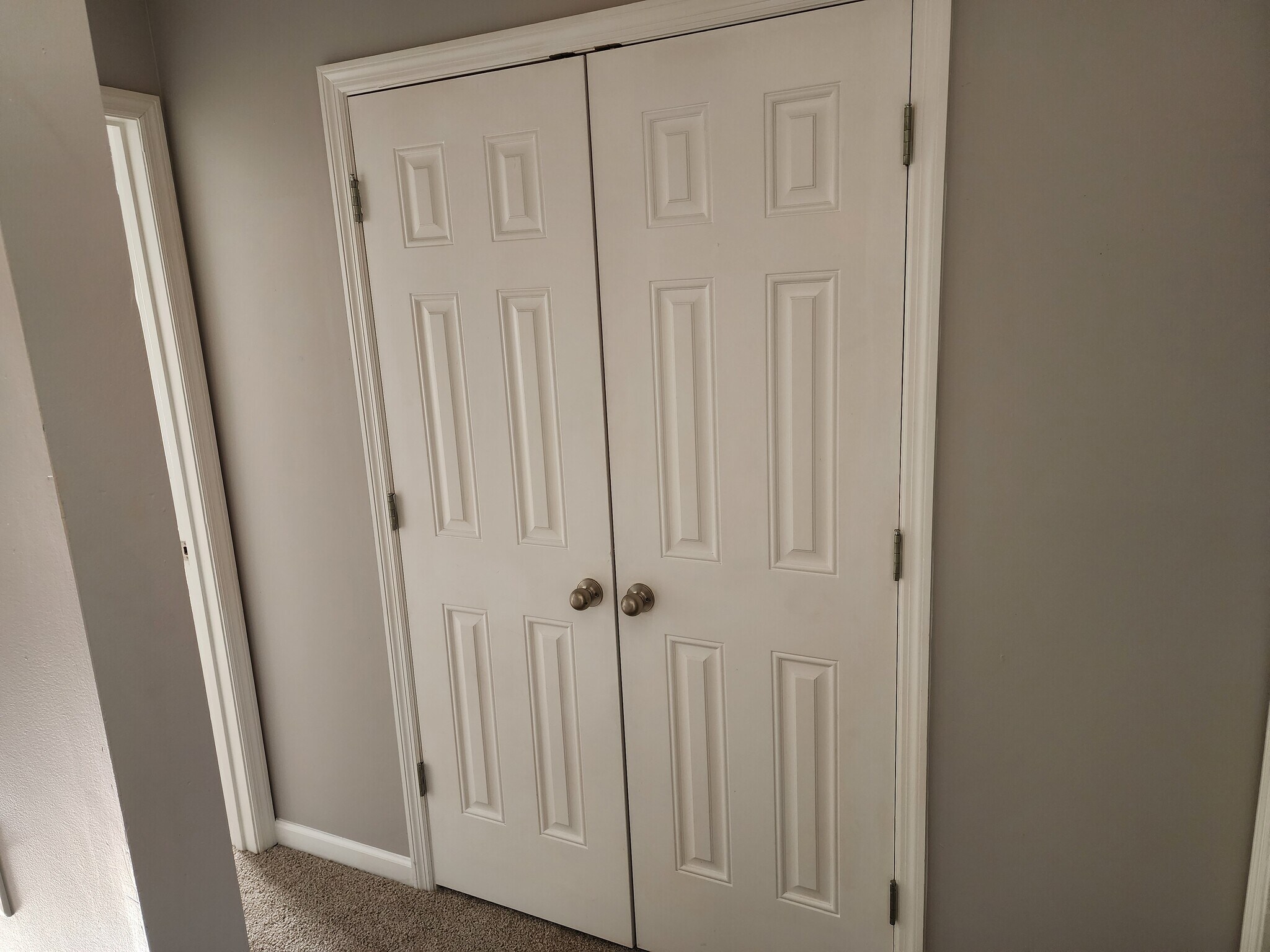 extra closet between bedrooms - 62 Jacoby Jamison Ln