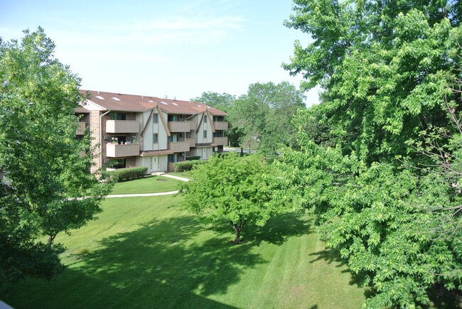Building Photo - 12 Echo Ct